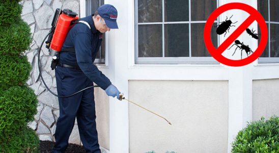 Mut Kene İlaçlama böcek ilaçlama ve haşere kontrolü — ilaclama-tr.com